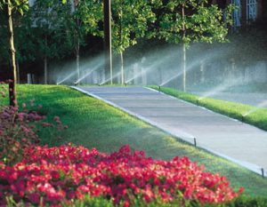 Rain Bird Irrigation Systems
